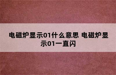 电磁炉显示01什么意思 电磁炉显示01一直闪